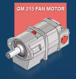GM 215 Fan Motor -300 x 311